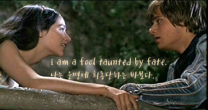 수박 이미지 2