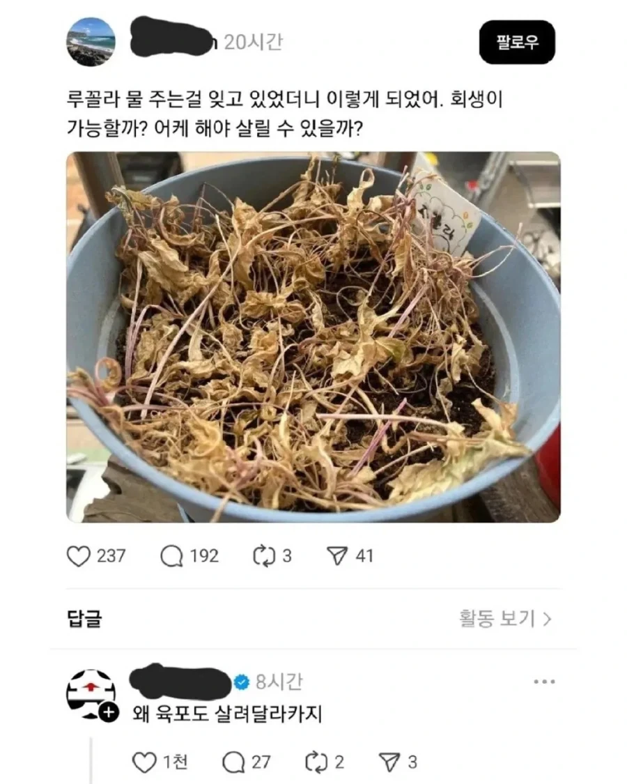 어느 나라가 한중일 차별하자 생긴일.X 이미지 4