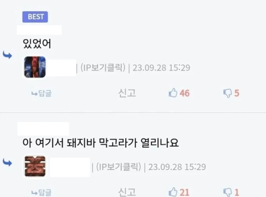 돼자바 막고라로 보는 세대차이_2.webp