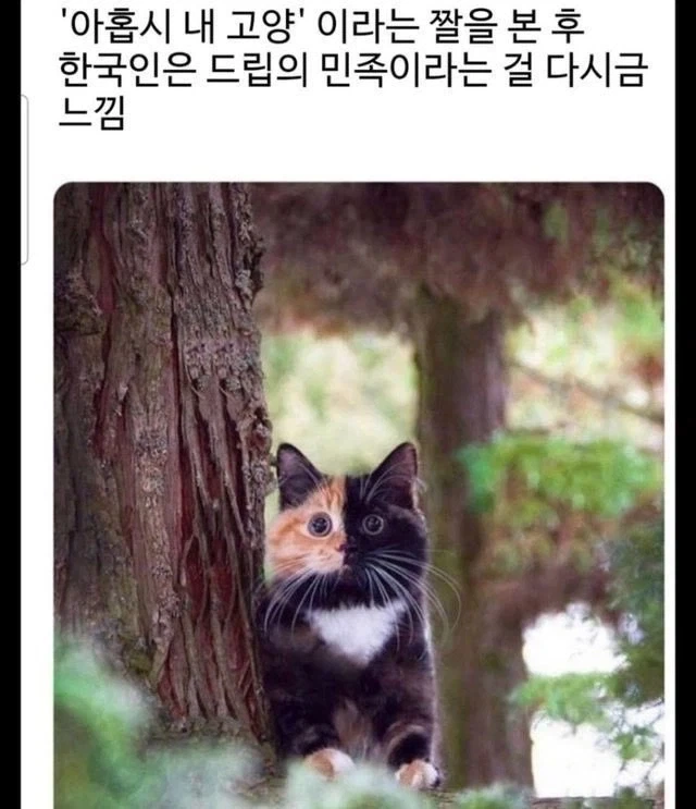 당신 안에 있는 호랑이를 깨우세요 이미지 3
