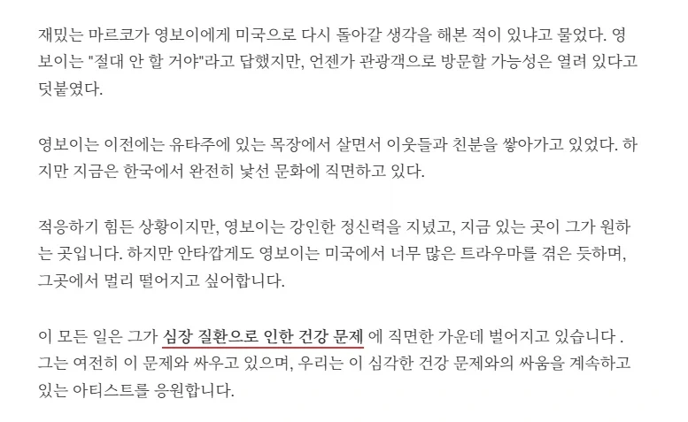 한국 왔다가 그냥 눌러 살겠다고 발표한 미국 래퍼.jpg_5.webp
