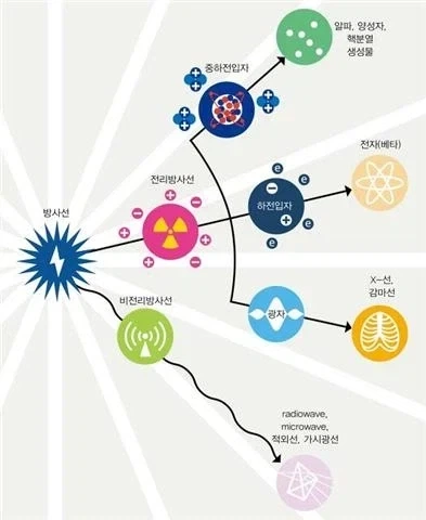 워해머 판타지에서 엘프와 리자드맨을 나타내는 요약 이미지 4