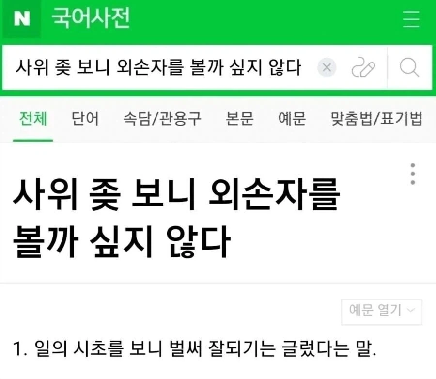 3년을 키웠는데 개가 다큰건지 만건지 모르겠다는 주인.JPG 대표 이미지