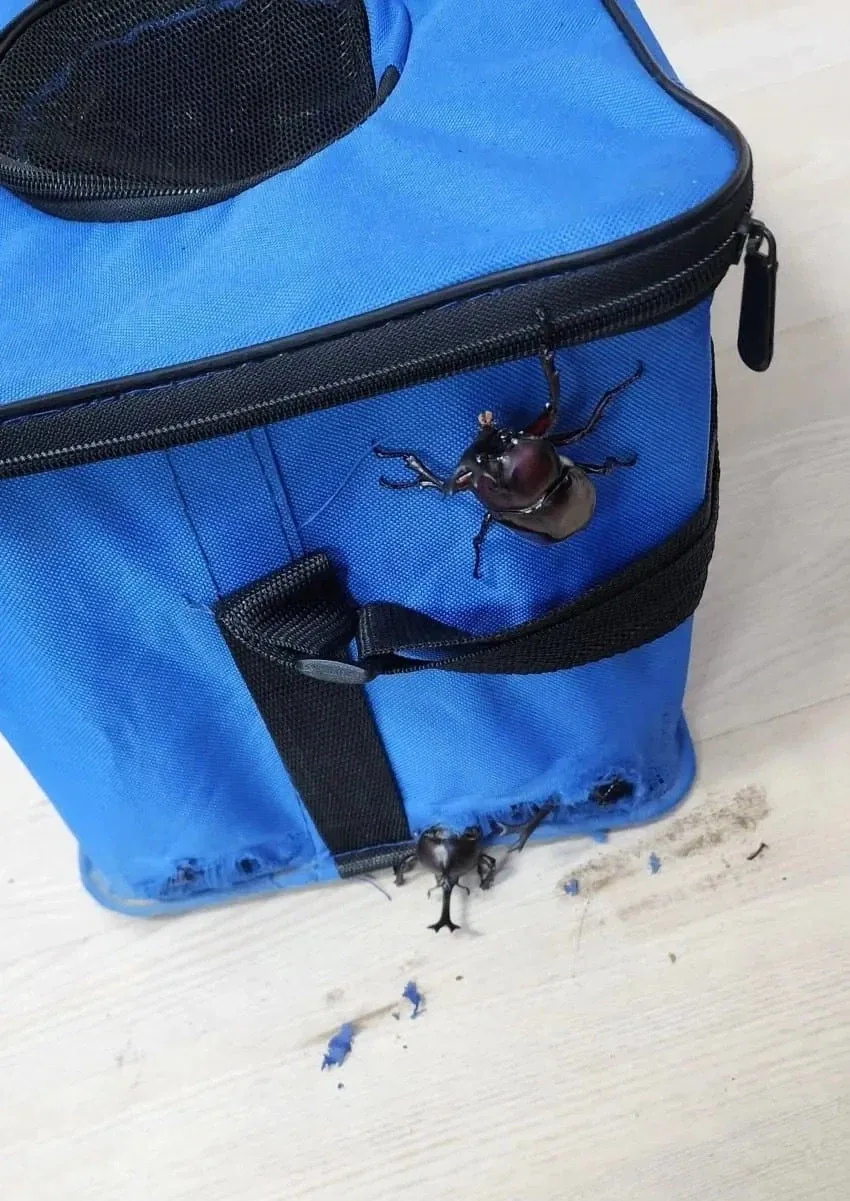 상황에 따라 다르다는 선배 졸업하지 마세요 이미지 3