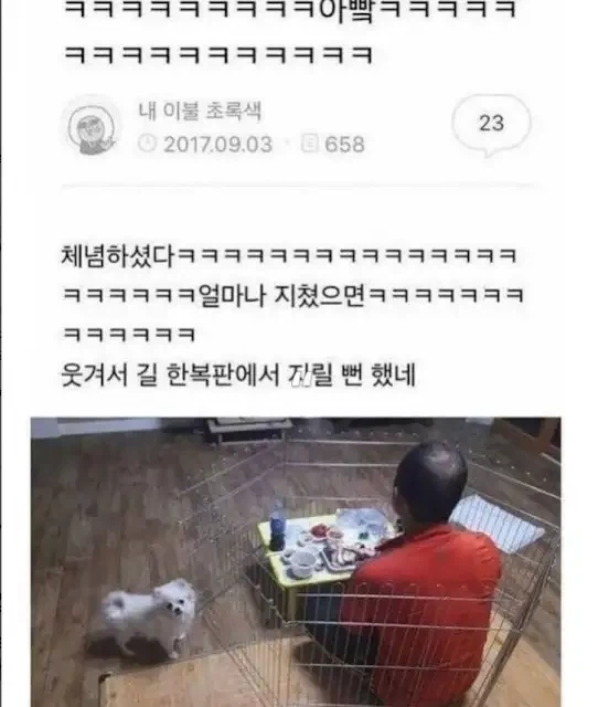 엘든링에서 모두가 놓친 장면 甲.jpg 이미지 2