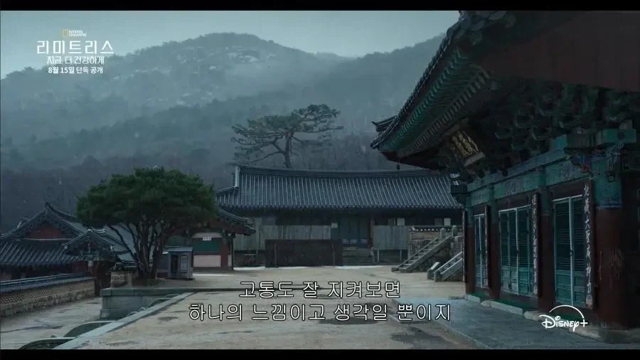 디즈니에서 찍은 다큐에선 안나온 한국 불교의 또다른 모습.JPG_7.webp