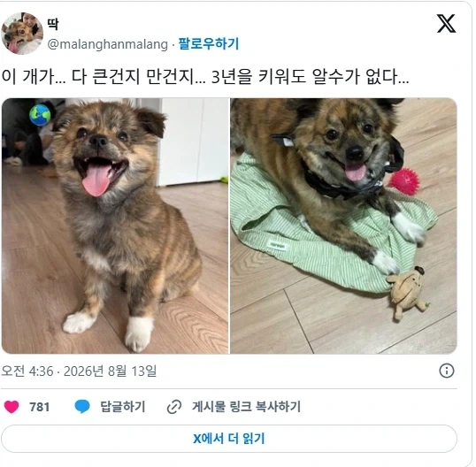 동네 짬뽕집이 하루만에 폐업한 이유 대표 이미지