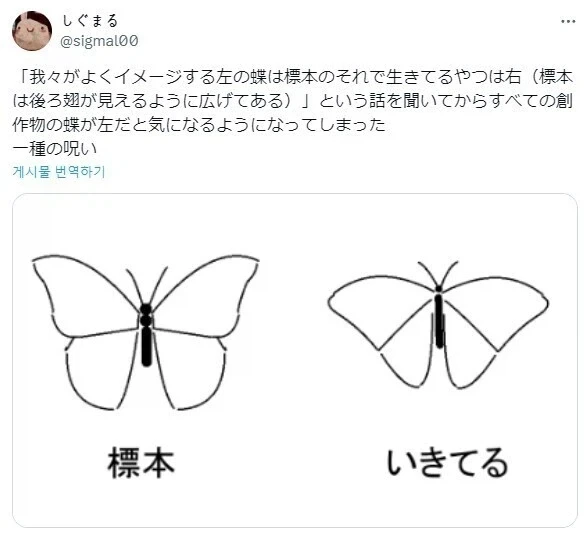 밤이 되어야 진가를 볼수 있다는 일본의 불상 대표 이미지