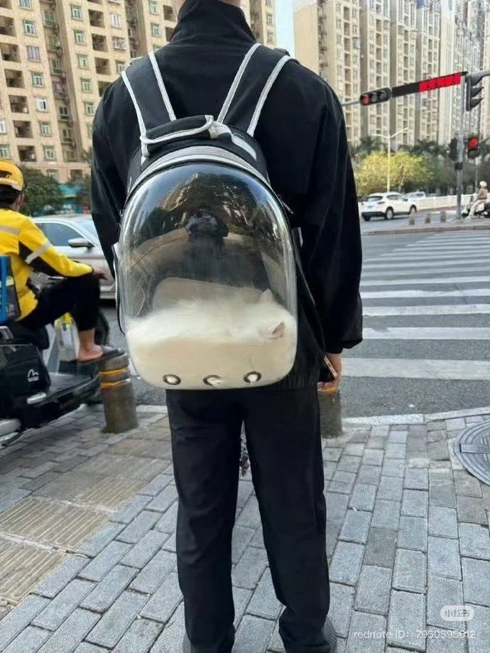 고등어 머리만 드시던 아버지 대표 이미지