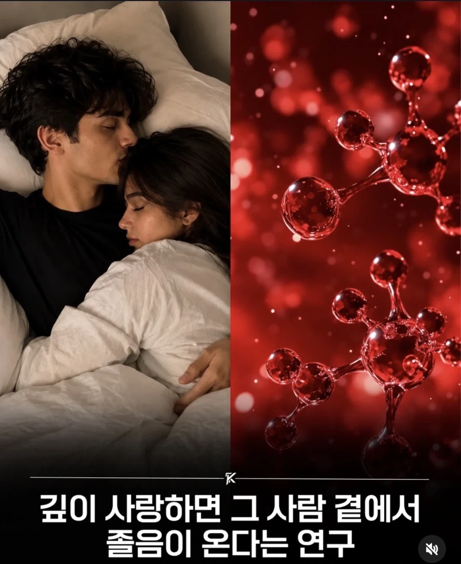 옷가게 직원이 옷 개기 만랩임.jpg 대표 이미지