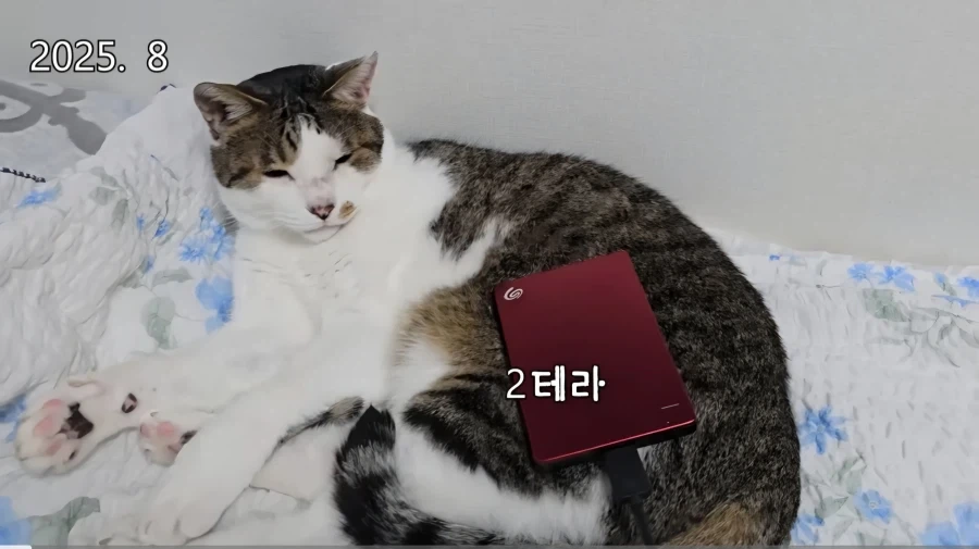 "성경에서 부동산 매매하지 말라고 했다"에 대해서 이미지 4