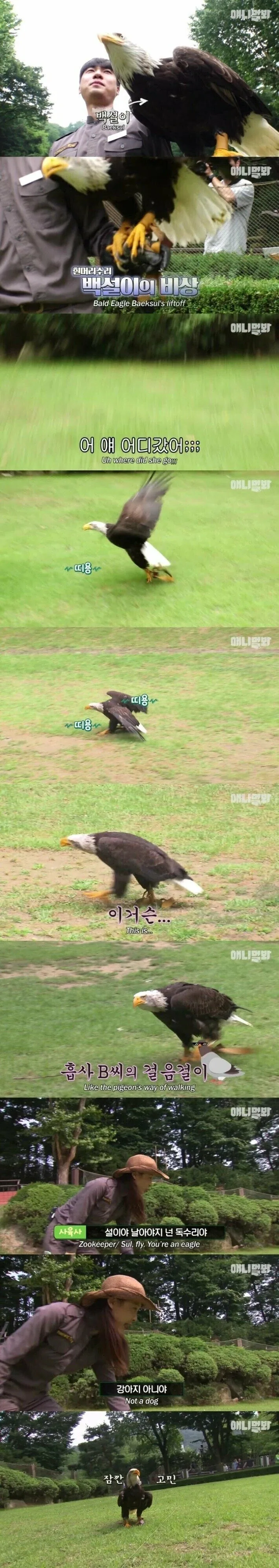 정말로 군캉스였던 분들 대표 이미지