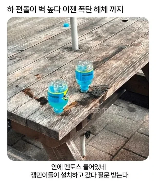 연애 프로그램도 찍는 기안84.jpg 이미지 9