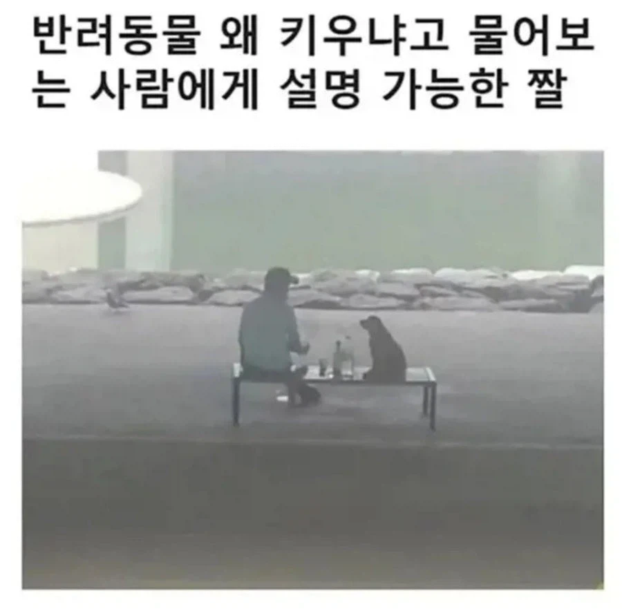 옷에서 보지냄새 나는데 환불할까.jpg 대표 이미지