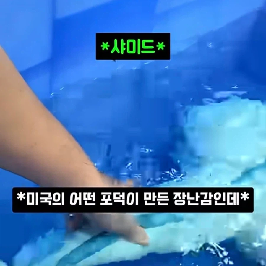 빵순이 누나의 체취를 실제로 느낄수 있는 방법 이미지 2