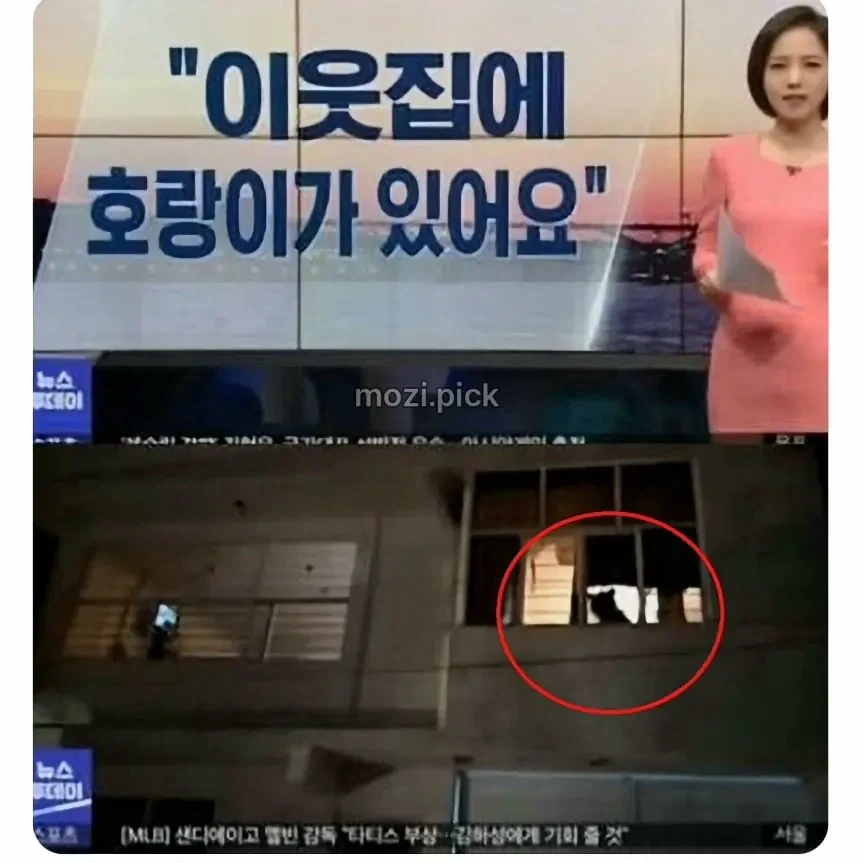 폭탄해체도 배워야 하는 직업 대표 이미지