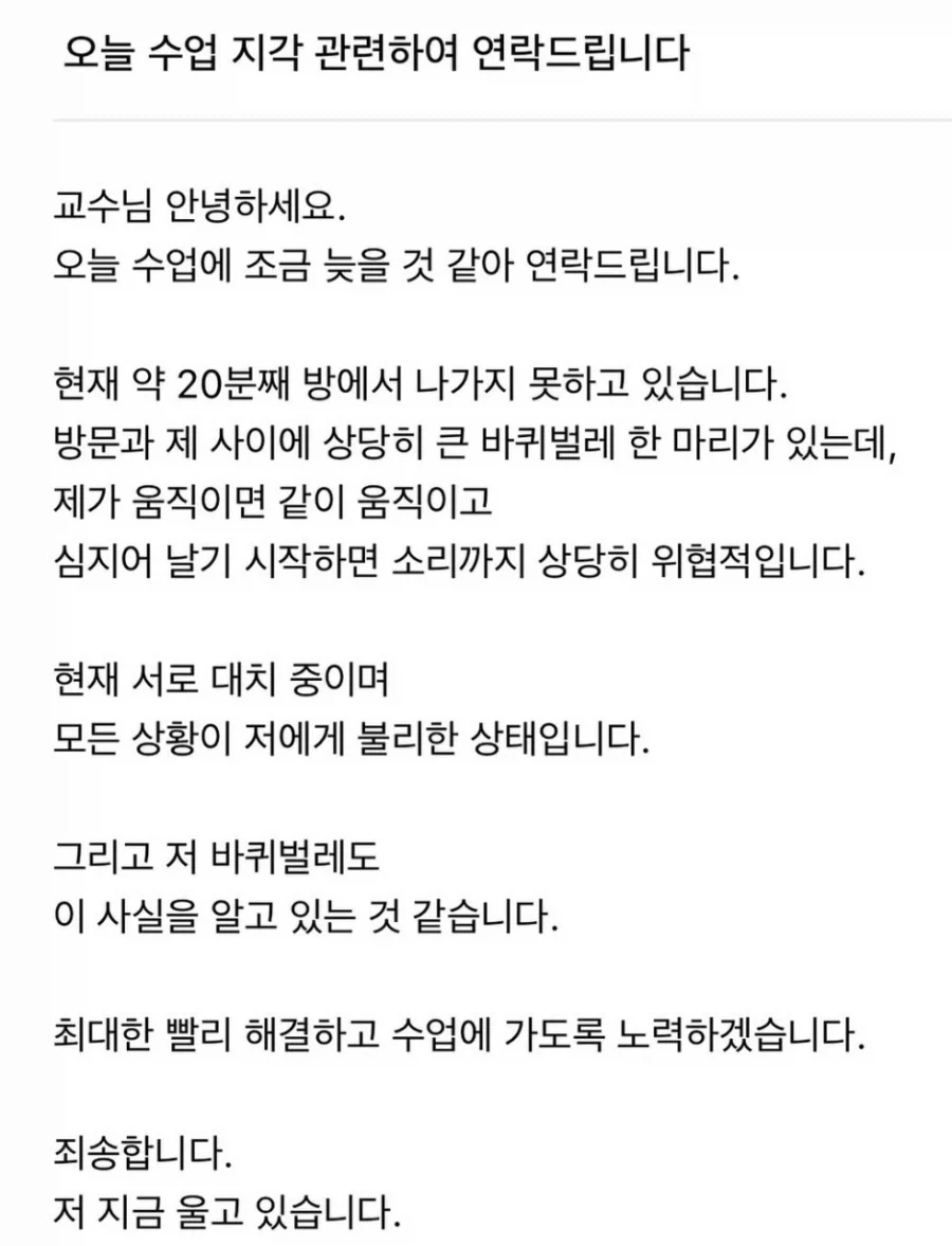 엘든링에서 모두가 놓친 장면 甲.jpg 이미지 2