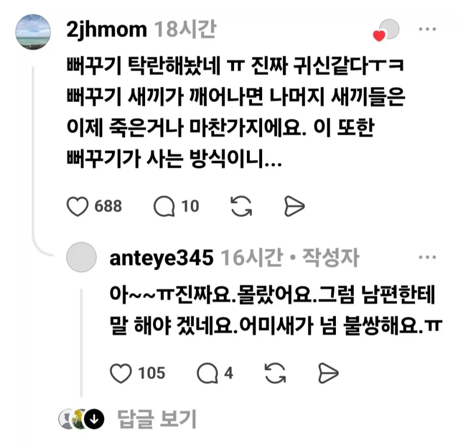뻐꾸기알 제거한다 vs 놔둔다.jpg_4.webp