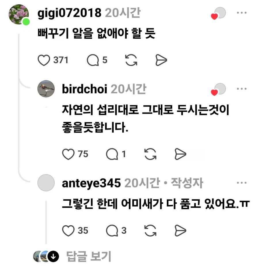 뻐꾸기알 제거한다 vs 놔둔다.jpg_5.webp