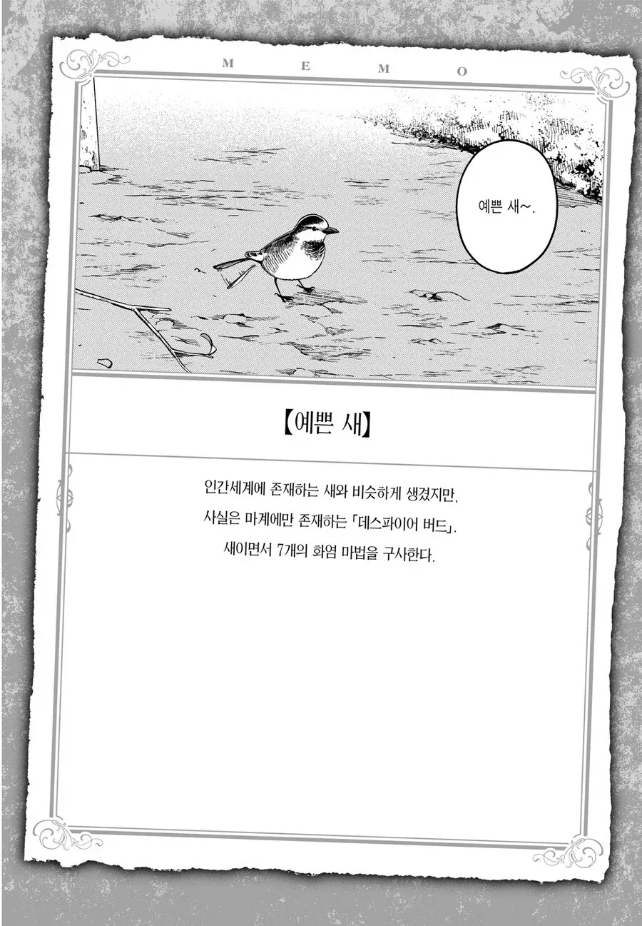 전문가들도 구별이 아주 어렵다는 새.jpg_7.webp