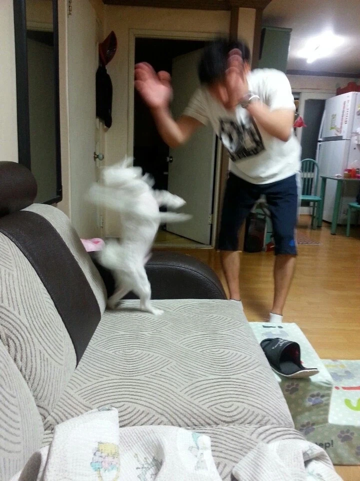 인천공항이 전세계 1위 공항이 됨 이미지 3