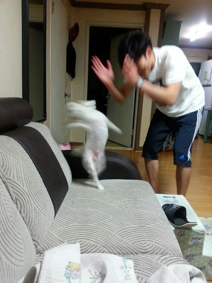 역사에 남을 개짤_2.webp