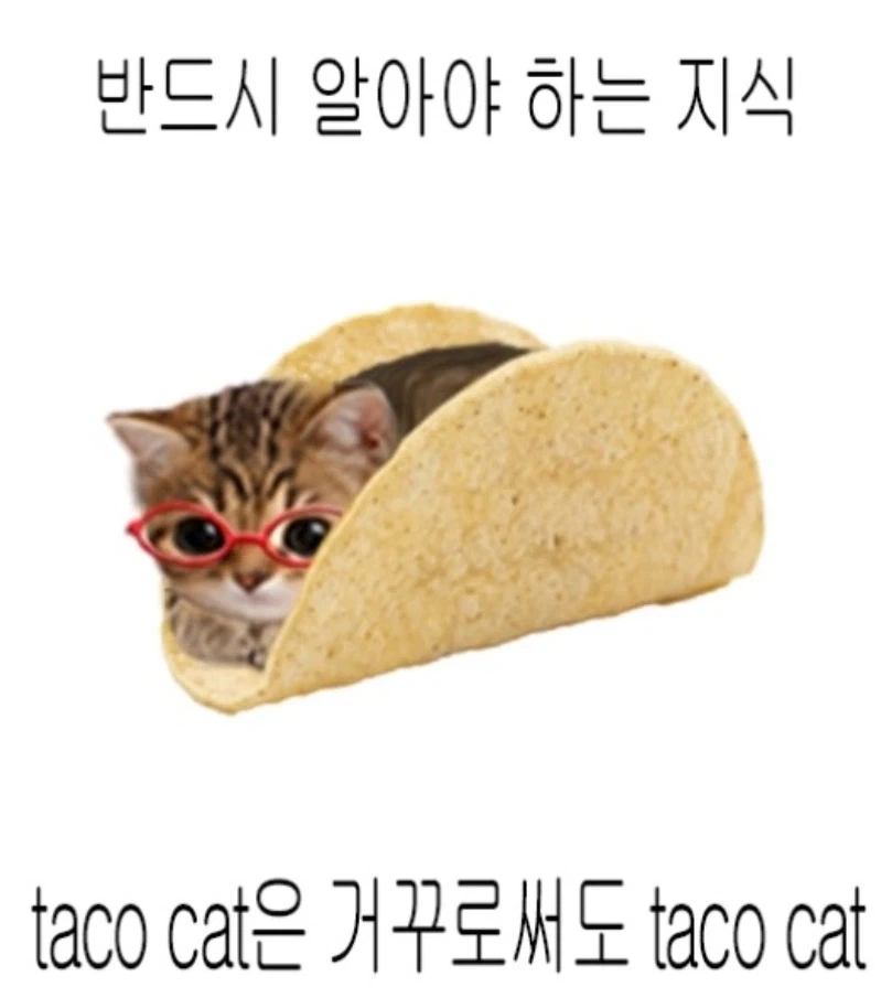 아이에겐 친절한 듀오링고 대표 이미지