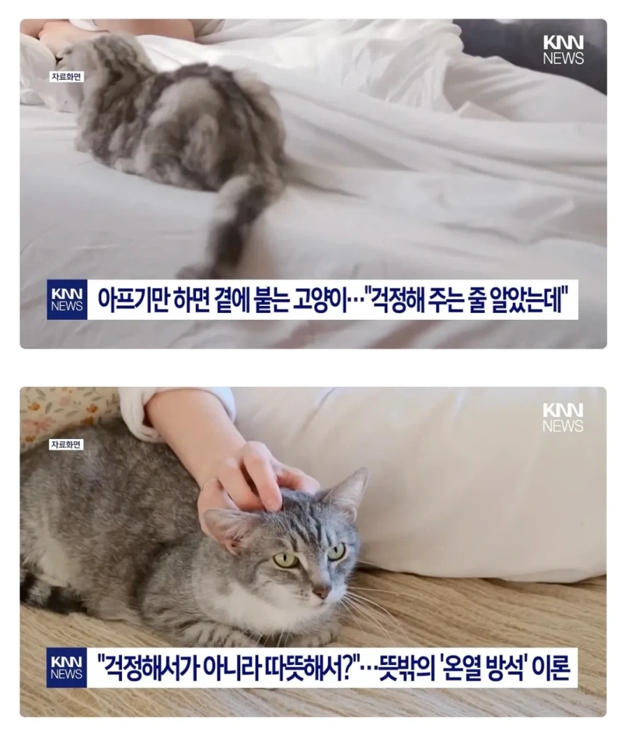 가짜뉴스 렉카가 절대 진짜뉴스 렉카를 못 이기는 이유 이미지 2