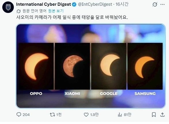 길가다 다친 새를 주워서 치료해 줬더니.jpg 대표 이미지