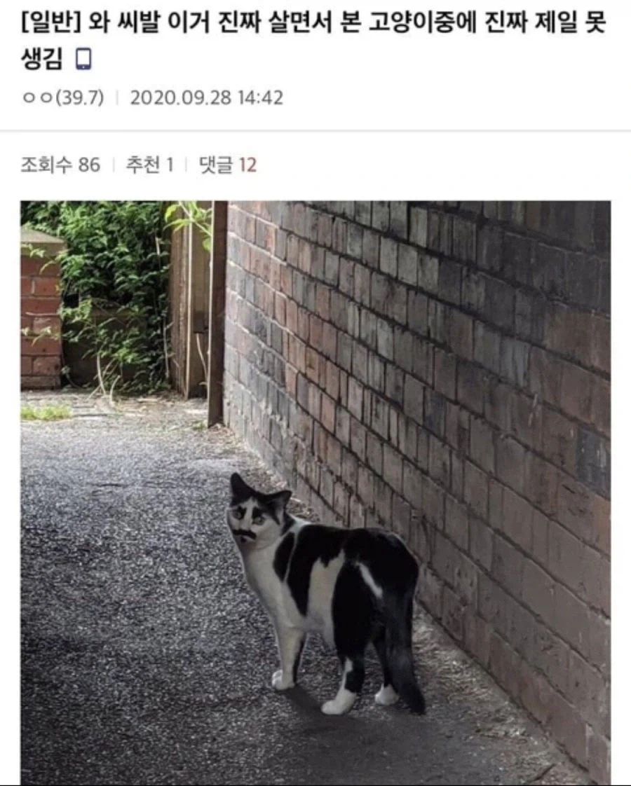 의외로 오나홀 광고에서 가려야하는것 이미지 3