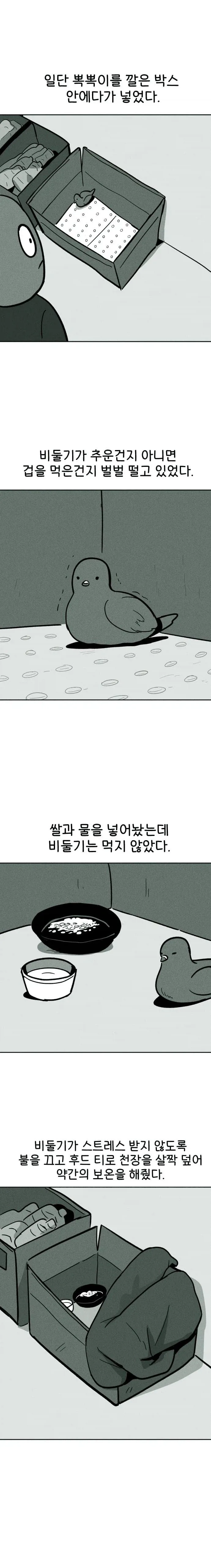 비둘기 구조하는 manhwa._6.webp