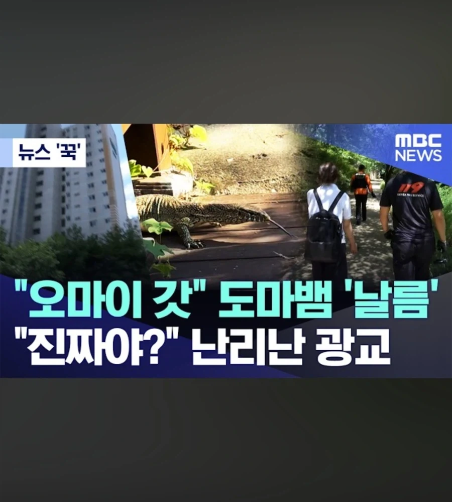 2회차 희귀하고 게이가 된 남자 대표 이미지