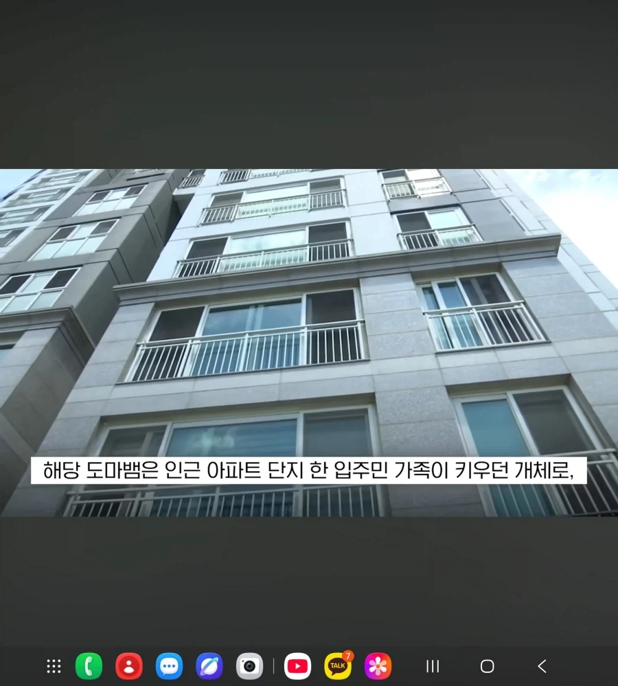 또 괴생명체 등장한 한국_5.webp