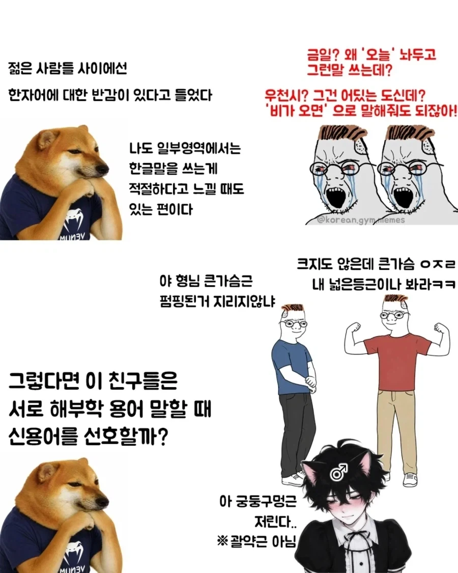주식) 국장 특징 이미지 5