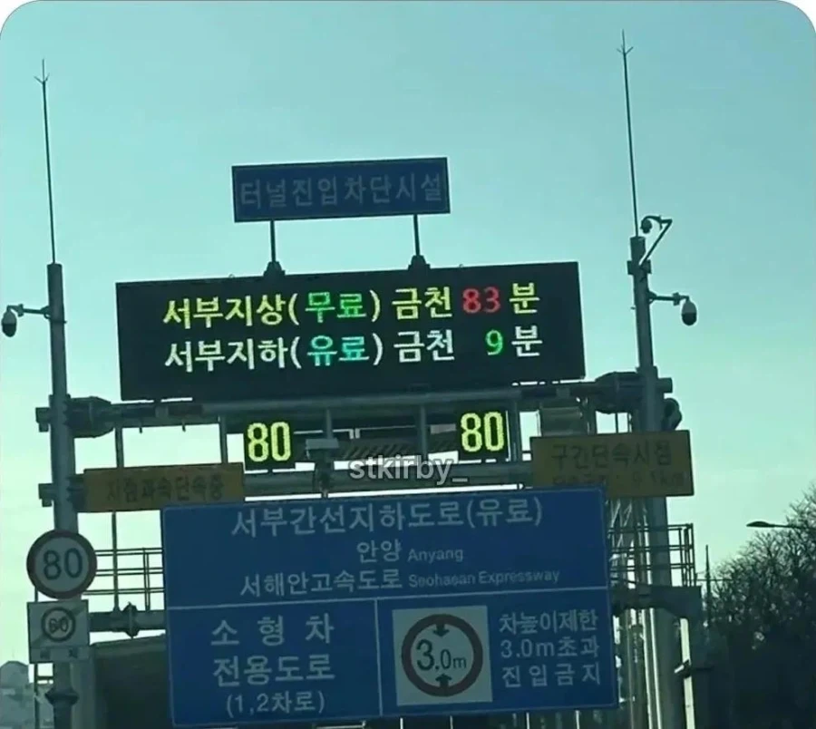 솔직히 주먹 한방에 죽어서 찐으로 당황한 표정 대표 이미지
