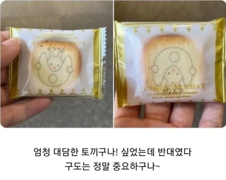 수상한것을 만들어버린 평범한 시골소녀.jpg 이미지 5