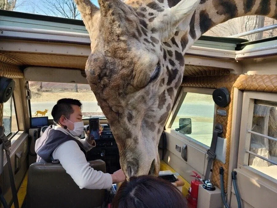 독일빵 특 대표 이미지
