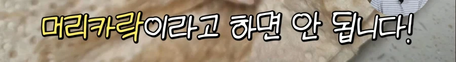 암컷 아저씨가 알려주는 절대 먹으면 안되는 문어.jpg_4.webp