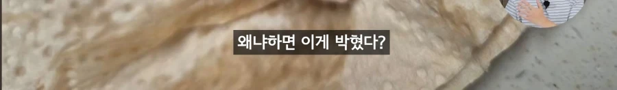 암컷 아저씨가 알려주는 절대 먹으면 안되는 문어.jpg_5.webp