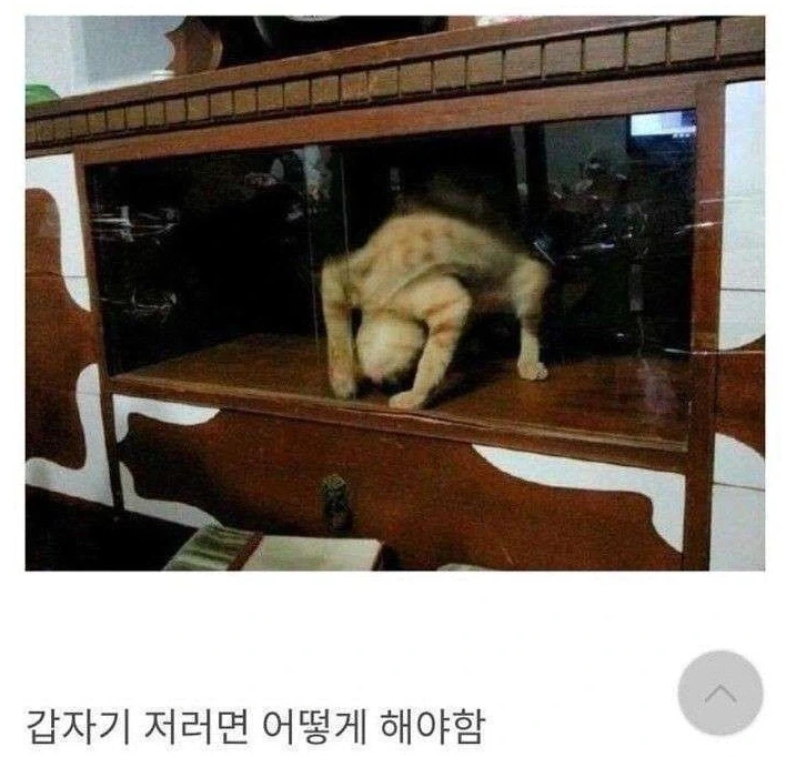 아직 날씨가 더운 것처럼 행동해야 하는 이유 이미지 2