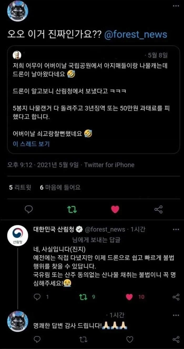 해외에선 호미가 농사용이 아니라 가드닝 장비가 된 이유 이미지 2