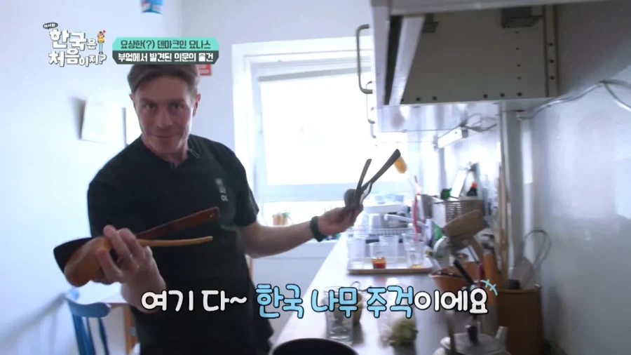 한국 너무좋아 덴마크인_27.webp