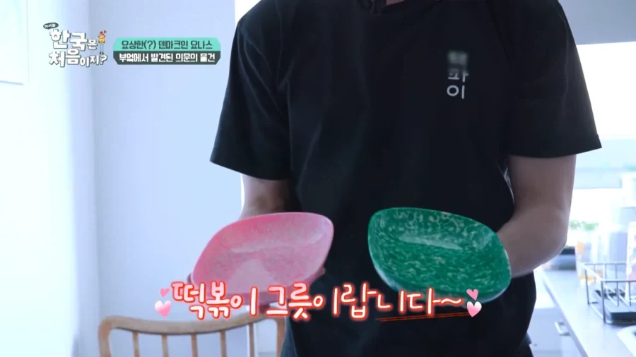 한국 너무좋아 덴마크인_28.webp