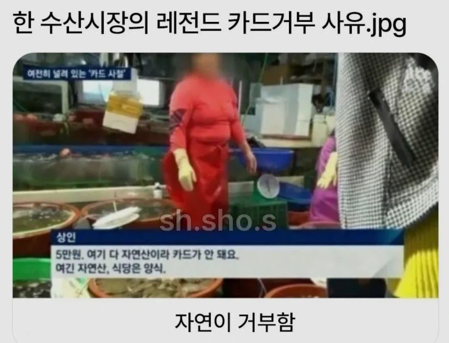 조금만 더 기다리면 내 차례... 좋았쓰! 이미지 4