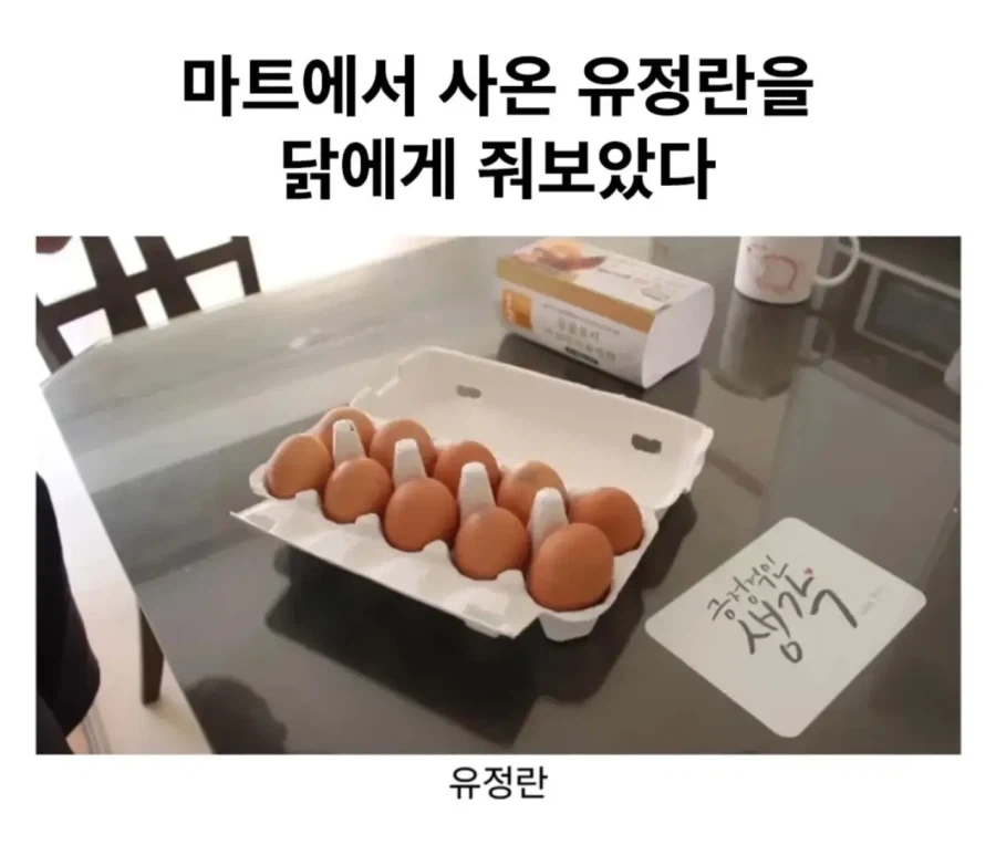 범죄자들이 범죄를 저지르는 이유 이미지 3