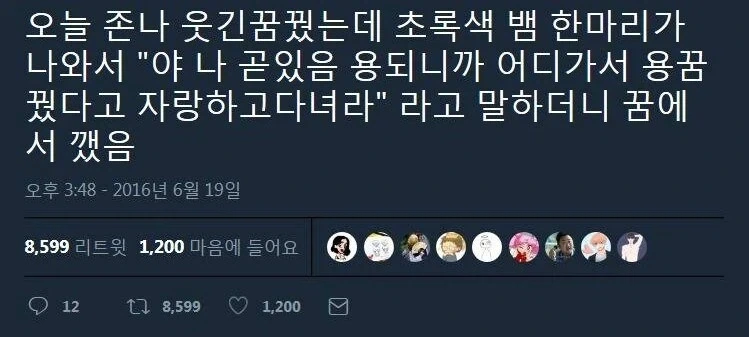 용꿈인듯 용꿈아닌 용꿈같은 꿈 꾼.jpg_2.webp