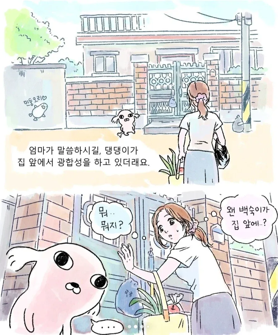 갑자기 찾아온 모르는 강아지_2.webp