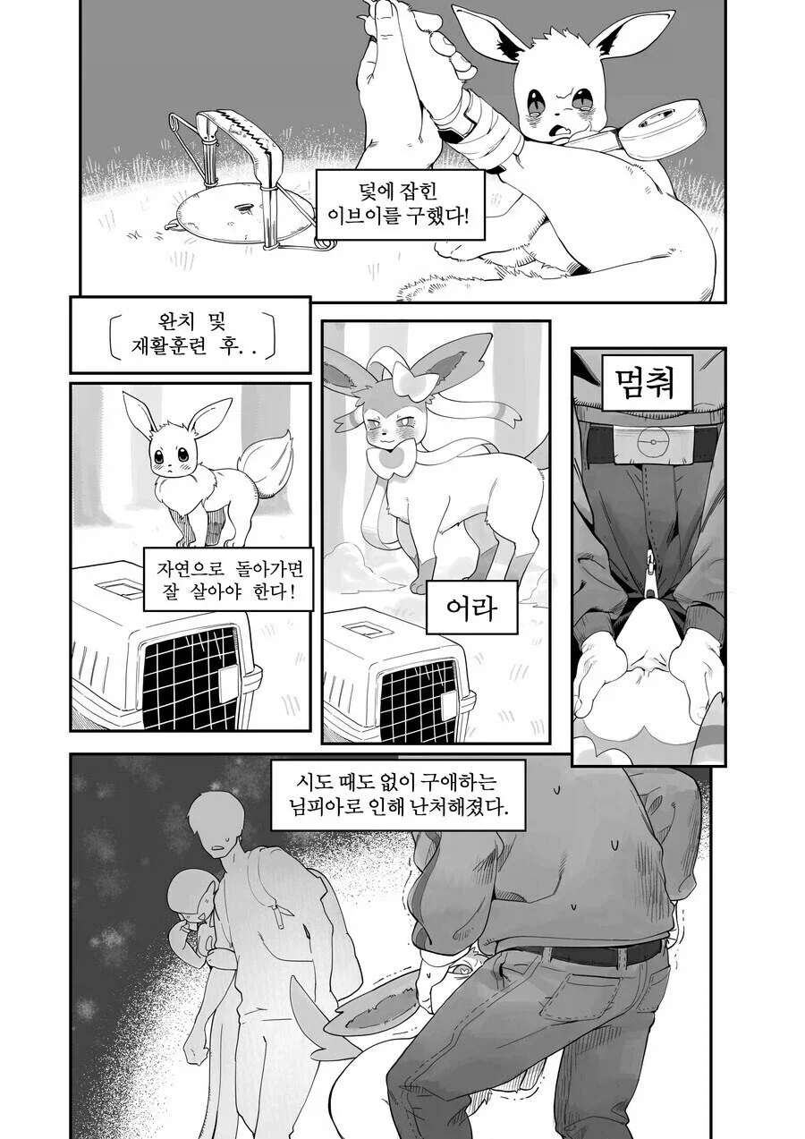 은혜갚은 까치 이미지 3