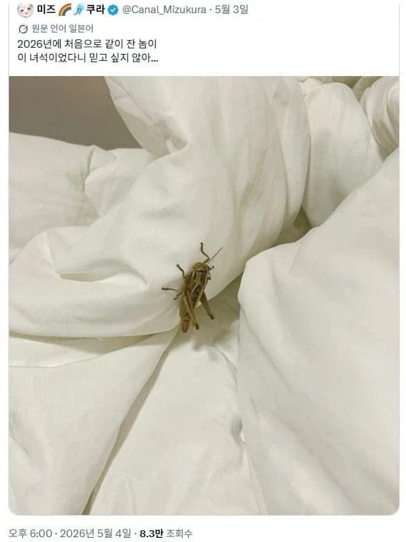 야인시대 같은 드라마가 두번 다시 나오면 안되는 이유.jpg 이미지 2