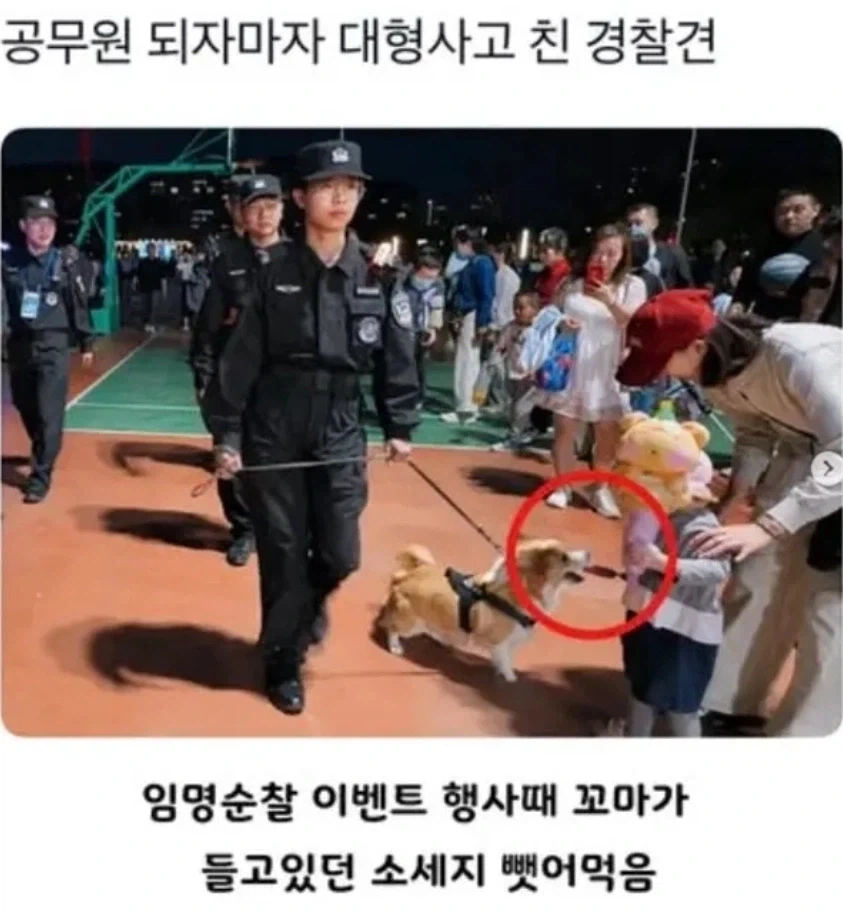오 이미지 3